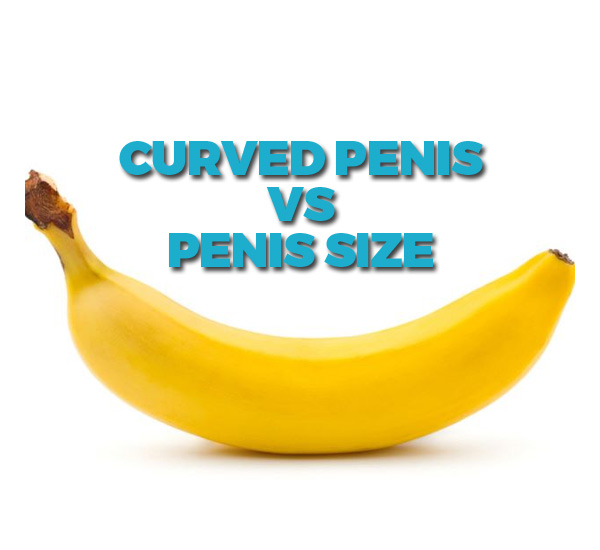 curved penis shapes
